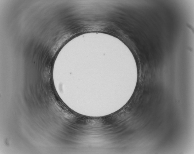 X0000103910107200810171714