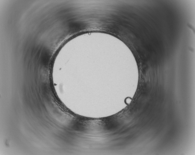 X0000103910108200810171714