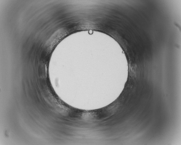 X0000103910109200810171714