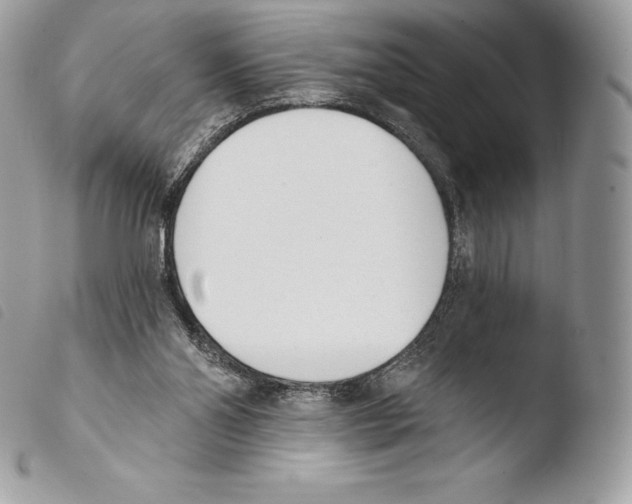 X0000103910110200810171714