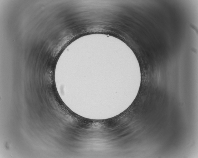 X0000103910111200810171714
