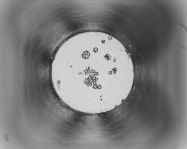 X0000103910112200810171714
