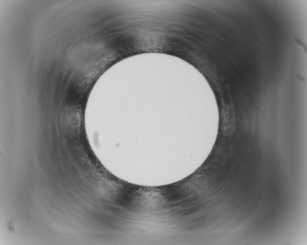 X0000103910113200810171714