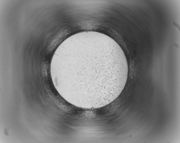 X0000103910114200810171714