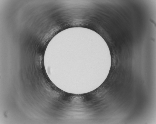 X0000103910115200810171714