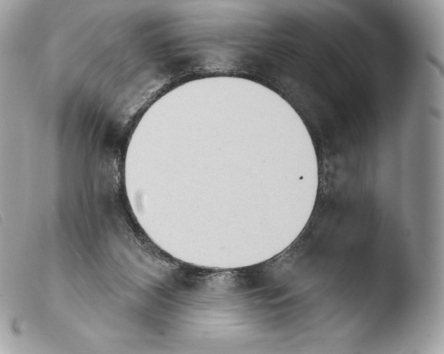 X0000103910116200810171714