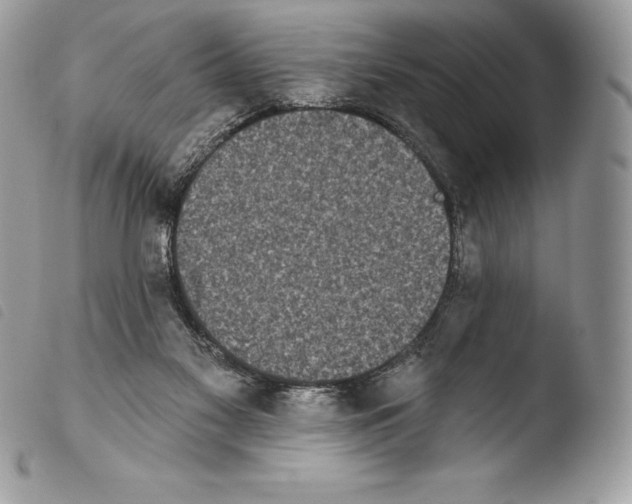 X0000103910117200810171714