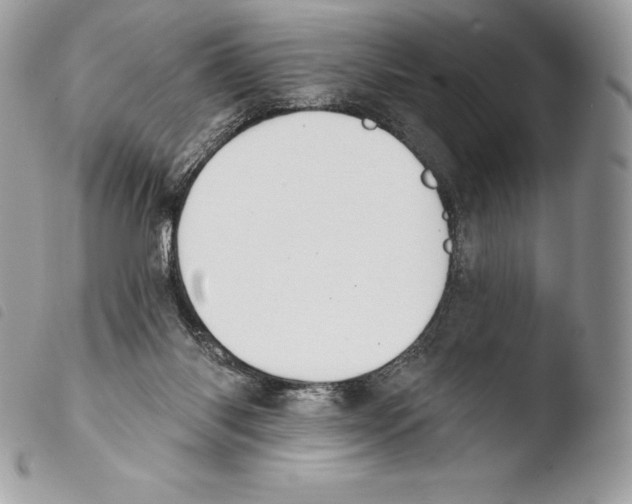 X0000103910118200810171714