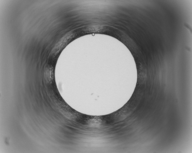X0000103910119200810171714