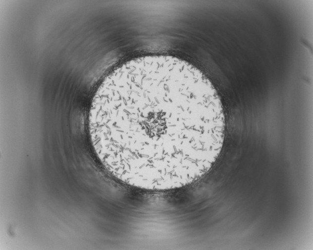 X0000103910120200810171714
