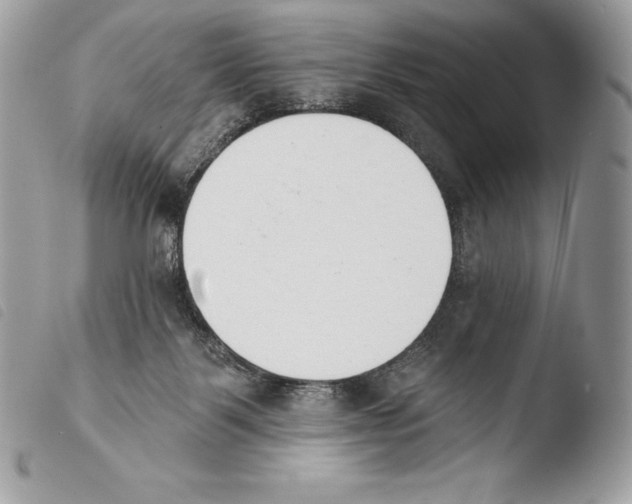 X0000103910123200810171714