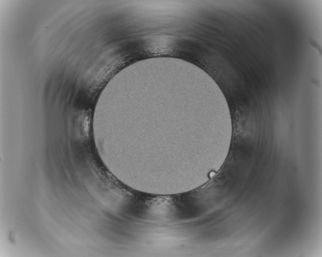 X0000103910124200810171714