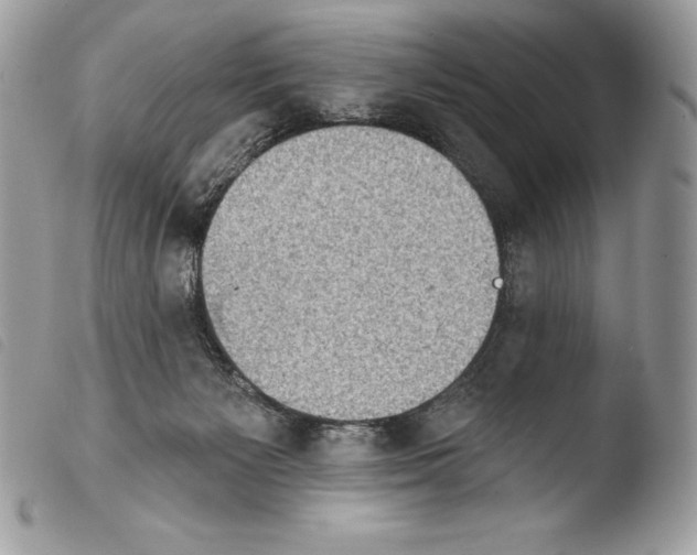 X0000103910125200810171714