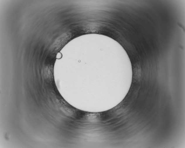 X0000103910126200810171714