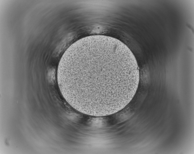 X0000103910127200810171714