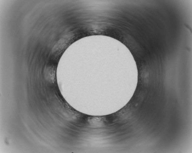 X0000103910129200810171714