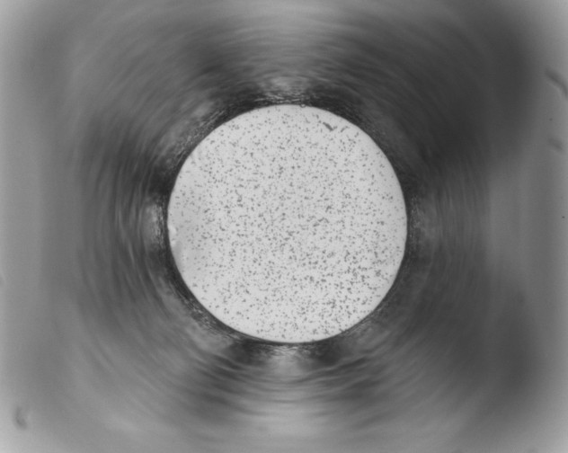 X0000103910130200810171714