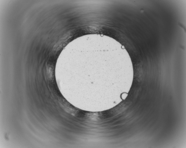 X0000103910131200810171714
