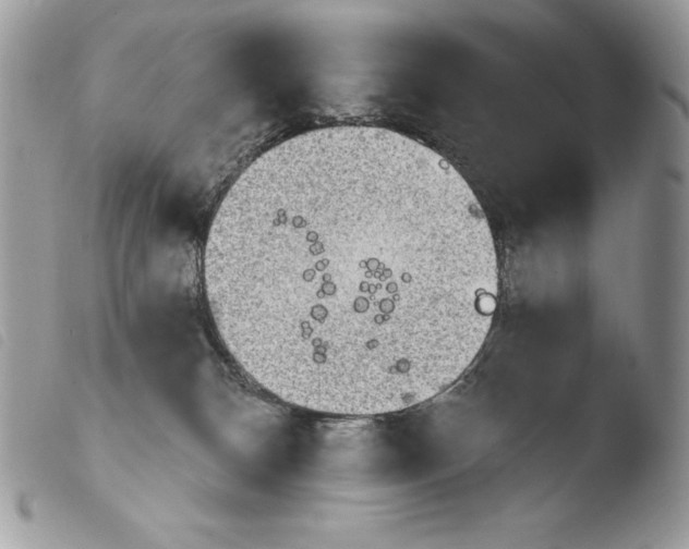 X0000103910132200810171714