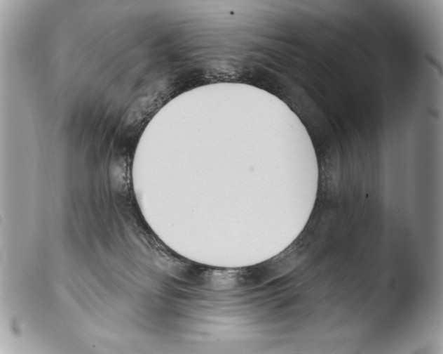 X0000103910134200810171714