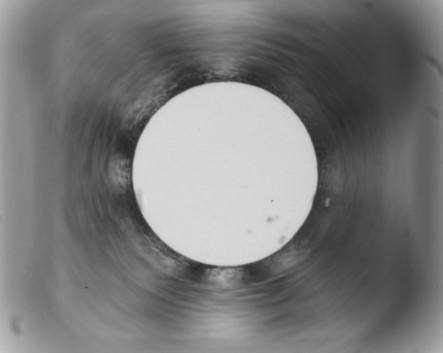 X0000103910135200810171714