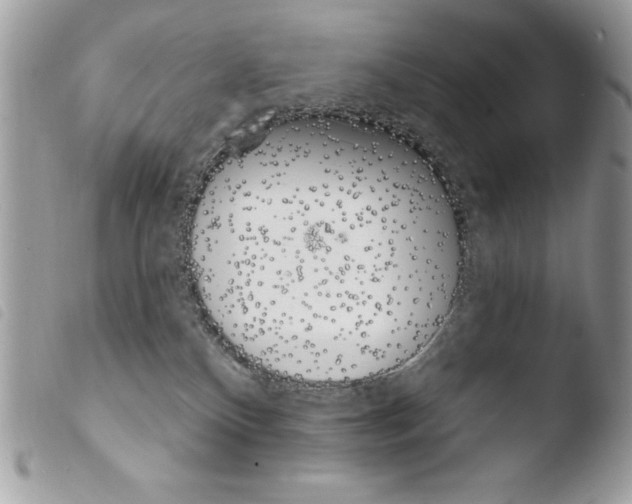 X0000103910136200810171714