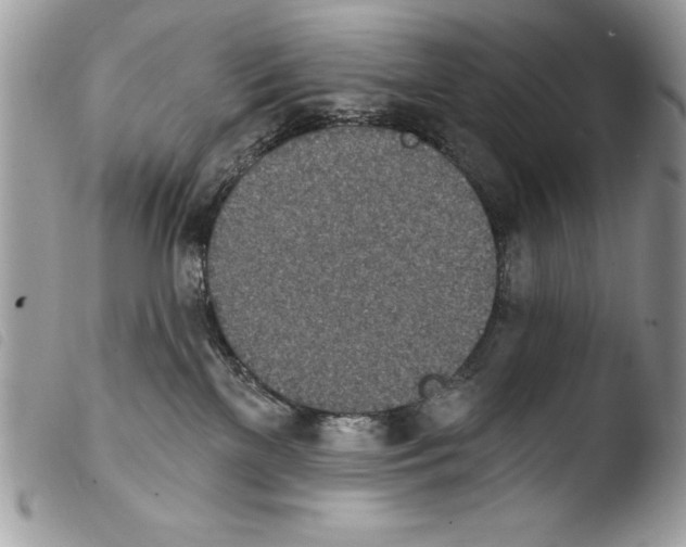 X0000103910137200810171714