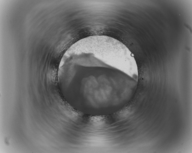 X0000103910139200810171714