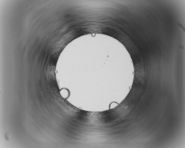 X0000103910141200810171714