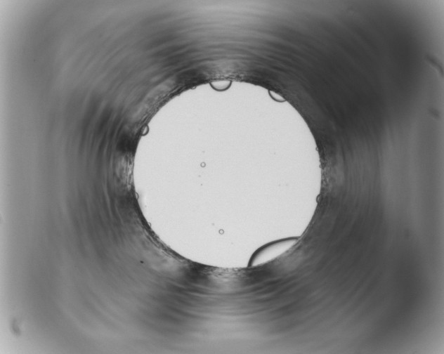 X0000103910142200810171714