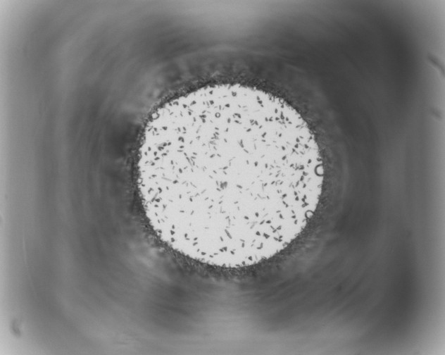 X0000103910144200810171714