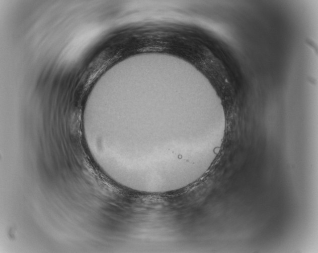 X0000103910146200810171713