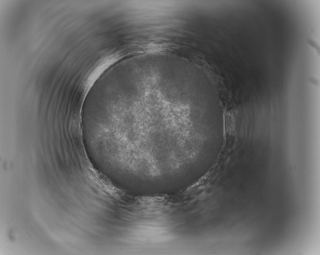 X0000103910147200810171713