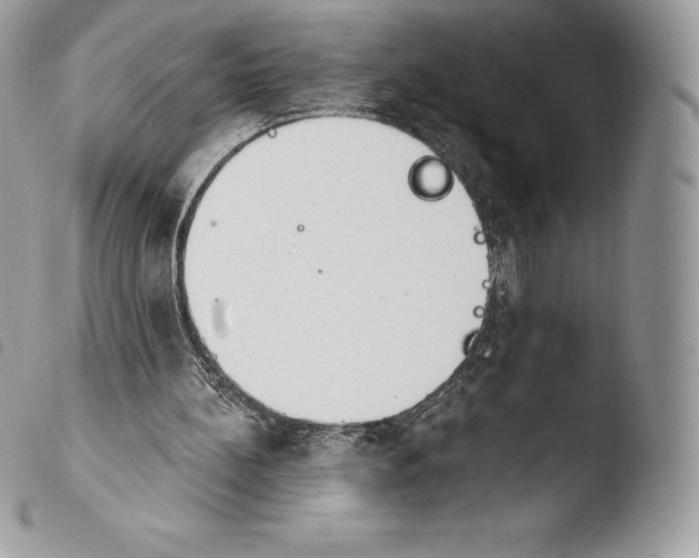 X0000103910148200810171713