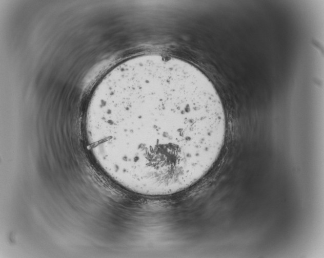 X0000103910149200810171713