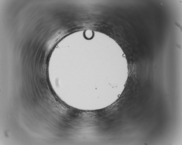 X0000103910150200810171713
