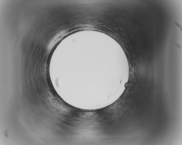 X0000103910151200810171713