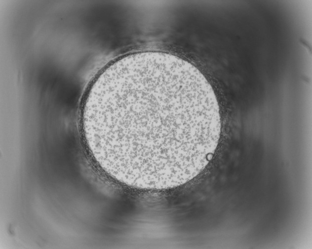 X0000103910152200810171713