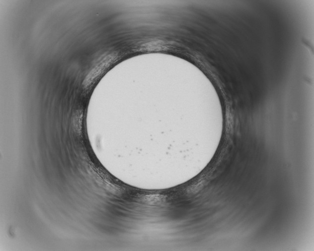 X0000103910153200810171713