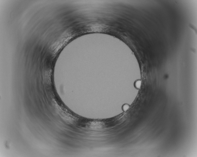 X0000103910154200810171713