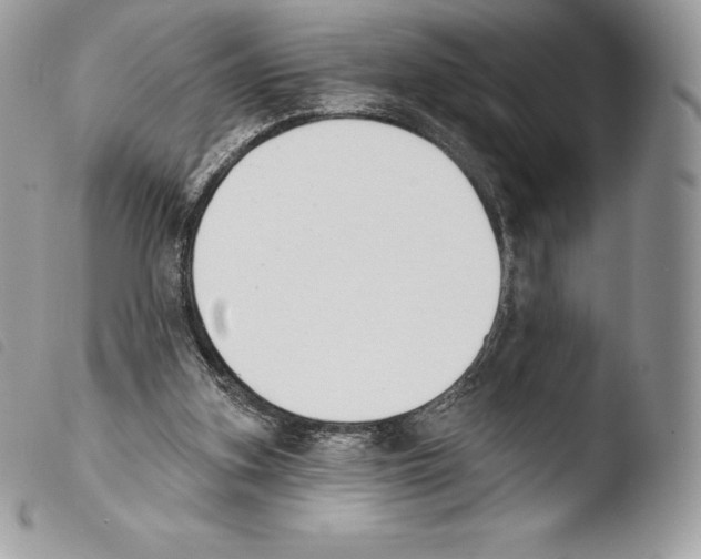 X0000103910155200810171713