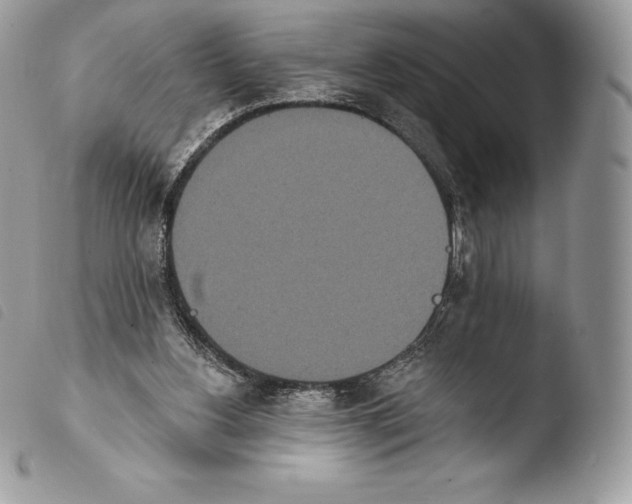 X0000103910156200810171713