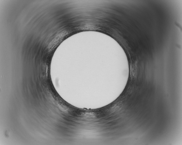 X0000103910157200810171713