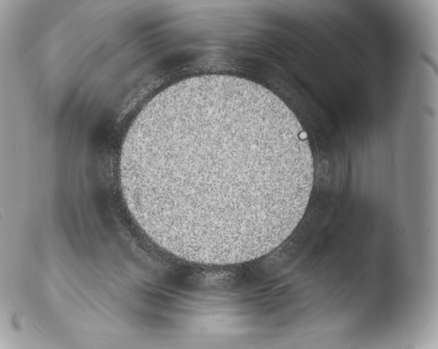 X0000103910158200810171713