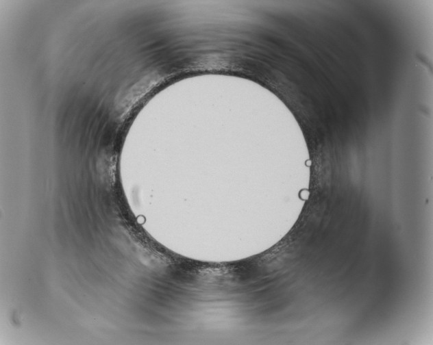 X0000103910160200810171713