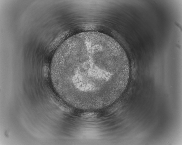 X0000103910161200810171713