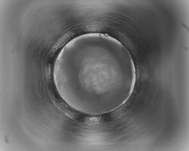 X0000103910163200810171713