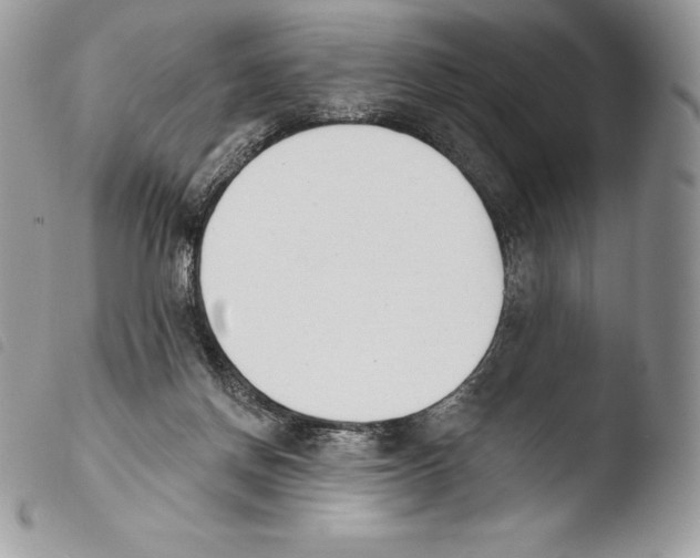 X0000103910166200810171713