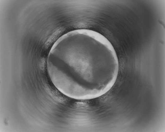 X0000103910167200810171713