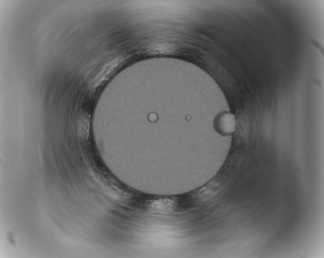 X0000103910168200810171713